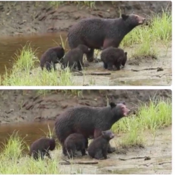 MEET THE POSHERS - Picture 9 of 16